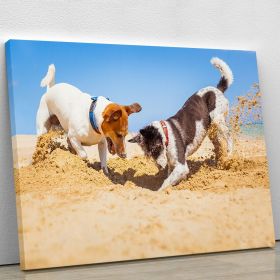 Jack russell couple of dogs digging a hole Canvas Print or Poster (Type: Premium Framed Canvas Print, size: 28" x 20" / 70cm x 50cm (approx))