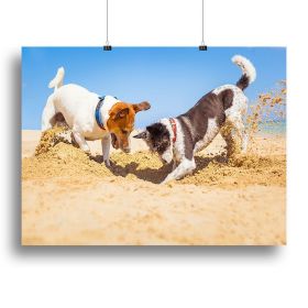 Jack russell couple of dogs digging a hole Canvas Print or Poster (Type: Poster Print, size: 60" x 40" / 150cm x 100cm (approx))