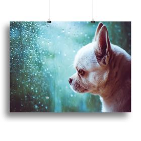 Sad Chihuahua dog Canvas Print or Poster (Type: Poster Print, size: 24" x 16" / 60cm x 40cm (approx))