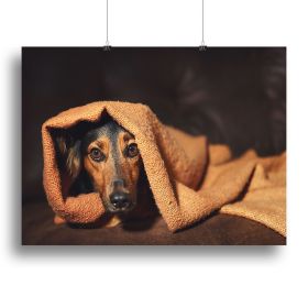 Small black and brown dog hiding under orange blanket Canvas Print or Poster (Type: Poster Print, size: 16" x 12" / 42cm x 30cm (approx))