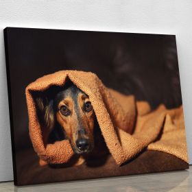 Small black and brown dog hiding under orange blanket Canvas Print or Poster (Type: Standard Framed Canvas Print, size: 28" x 20" / 70cm x 50cm (approx))