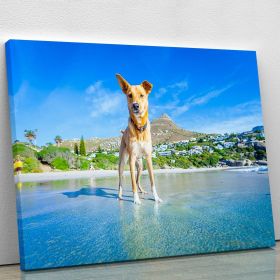 Terrier dog having fun Canvas Print or Poster (Type: Premium Framed Canvas Print, size: 48" x 36" / 120cm x 90cm (approx))