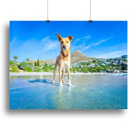 Terrier dog having fun Canvas Print or Poster (Type: Poster Print, size: 16" x 12" / 42cm x 30cm (approx))