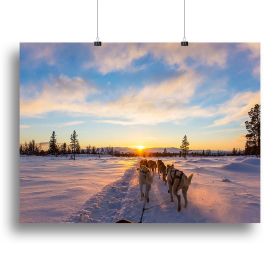 Musher and passenger in a dog sleigh with huskies a cold winter evening Canvas Print or Poster (Type: Poster Print, size: 32" x 24" / 80cm x 60cm (approx))