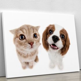 The beautiful brown little kitten with dog Canvas Print or Poster (Type: Standard Framed Canvas Print, size: 60" x 40" / 150cm x 100cm (approx))