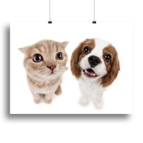 The beautiful brown little kitten with dog Canvas Print or Poster (Type: Poster Print, size: 32" x 24" / 80cm x 60cm (approx))