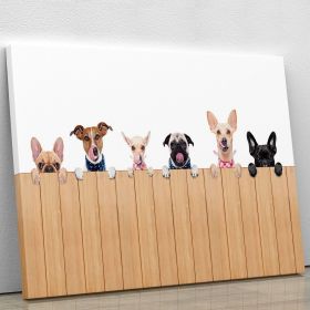 Row of dogs as a group or team all hungry Canvas Print or Poster (Type: Premium Framed Canvas Print, size: 16" x 12" / 42cm x 30cm (approx))