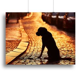 Silhouette of the dog on the street at sunset Canvas Print or Poster (Type: Poster Print, size: 24" x 16" / 60cm x 40cm (approx))