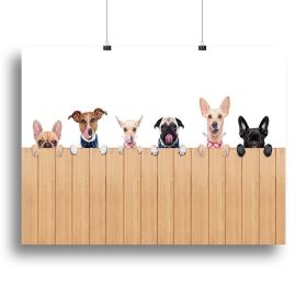 Row of dogs as a group or team all hungry Canvas Print or Poster (Type: Poster Print, size: 48" x 36" / 120cm x 90cm (approx))