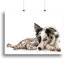 Cat and dog Canvas Print or Poster (Type: Poster Print, size: 60" x 40" / 150cm x 100cm (approx))