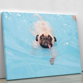 Close-up a cute dog puppy Pug Canvas Print or Poster (Type: Premium Framed Canvas Print, size: 28" x 20" / 70cm x 50cm (approx))