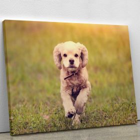 Dog is running at sunset Canvas Print or Poster (Type: Premium Framed Canvas Print, size: 12" x 8" / 30cm x 20cm (approx))