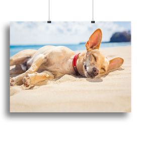 Chihuahua dog relaxing and resting Canvas Print or Poster (Type: Poster Print, size: 16" x 12" / 42cm x 30cm (approx))