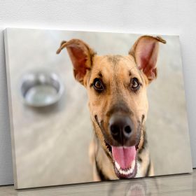 Dog and Bowl Canvas Print or Poster (Type: Premium Framed Canvas Print, size: 44" x 33" / 110cm x 85cm (approx))