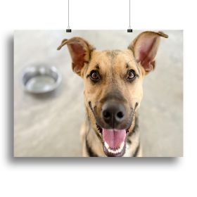 Dog and Bowl Canvas Print or Poster (Type: Poster Print, size: 12" x 8" / 30cm x 20cm (approx))