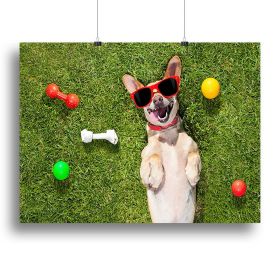 Happy chihuahua terrier dog in park Canvas Print or Poster (Type: Poster Print, size: 44" x 33" / 110cm x 85cm (approx))