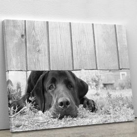 Cute sad dog waiting under the wooden fence Canvas Print or Poster (Type: Premium Framed Canvas Print, size: 48" x 36" / 120cm x 90cm (approx))