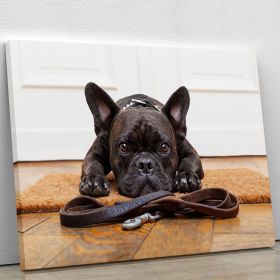 French bulldog dog waiting and begging to go for a walk with owner Canvas Print or Poster (Type: Premium Framed Canvas Print, size: 32" x 24" / 80cm x 60cm (approx))