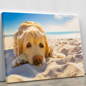 Golden retriever dog relaxing resting Canvas Print or Poster (Type: Standard Framed Canvas Print, size: 48" x 36" / 120cm x 90cm (approx))