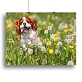 Running dog Canvas Print or Poster (Type: Poster Print, size: 60" x 40" / 150cm x 100cm (approx))