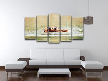 Two golden retrievers dogs are swimming with stick 5 Split Panel Canvas (Type: Standard Framed Canvas Print (Split-Panel), size: 84" x 40" / 214cm x 100cm (Approx))