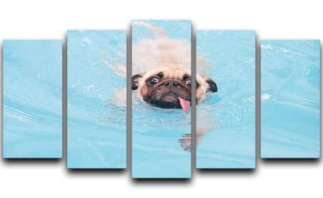 Close-up a cute dog puppy Pug 5 Split Panel Canvas (Type: Standard Framed Canvas Print (Split-Panel), size: 44" x 24" / 115cm x 65cm (Approx))