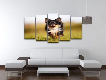 Chihuahua dog running towards the camera in a grass field 5 Split Panel Canvas (Type: Standard Framed Canvas Print (Split-Panel), size: 84" x 40" / 214cm x 100cm (Approx))