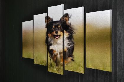 Chihuahua dog running towards the camera in a grass field 5 Split Panel Canvas (Type: Standard Framed Canvas Print (Split-Panel), size: 64" x 32" / 162cm x 85cm (Approx))