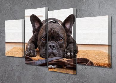 French bulldog dog waiting and begging to go for a walk with owner 4 Split Panel Canvas (Type: Standard Framed Canvas Print (Split-Panel), size: 51" x 35" / 130cm x 89cm (Approx))