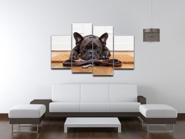 French bulldog dog waiting and begging to go for a walk with owner 4 Split Panel Canvas (Type: Standard Framed Canvas Print (Split-Panel), size: 67" x 44" / 170cm x 115cm (Approx))